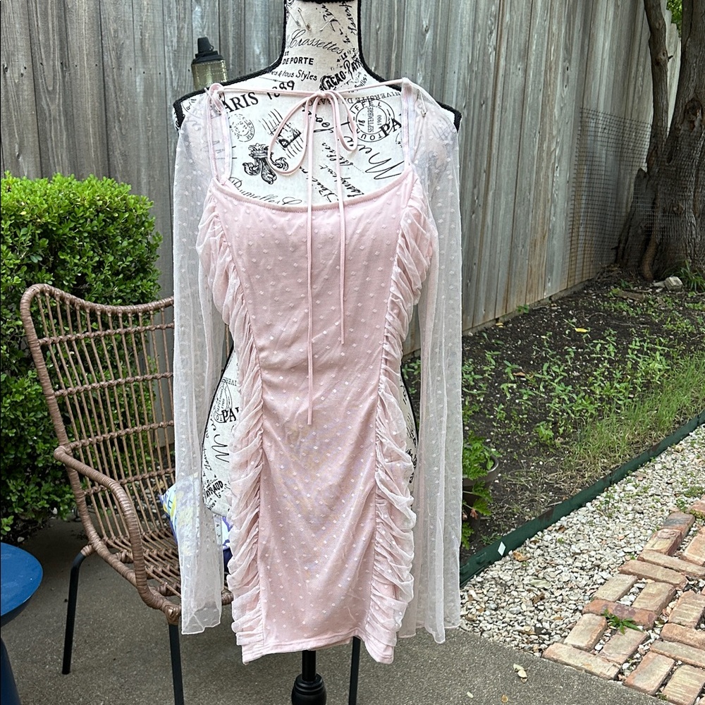 Lucy in the Sky Blush Pink Long Sleeve Dress with Sheer Overlay
